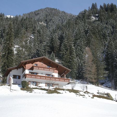 Apartment In Montafon Near The Ski Area Sankt Gallenkirch Exterior foto